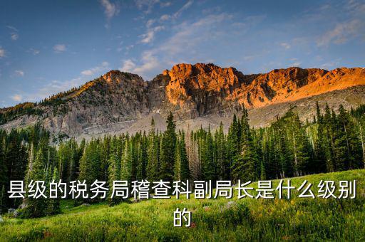 稅務(wù)局稽查科是什么，縣級(jí)的稅務(wù)局稽查科副局長(zhǎng)是什么級(jí)別的