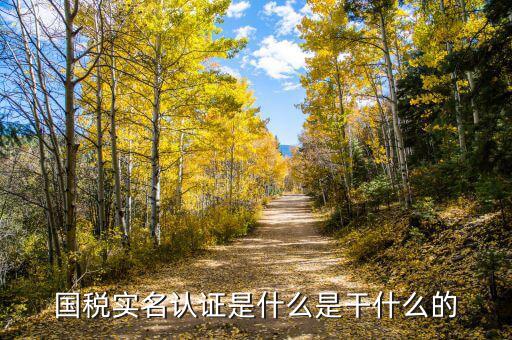 國稅局實名認(rèn)證是什么，今天國稅局叫去實名認(rèn)證認(rèn)證是不是就得交