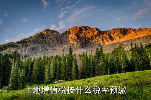 山東省土地增值稅按什么預(yù)繳，山東文登市土地增值稅預(yù)繳稅率是多少
