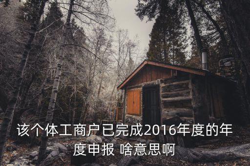 個(gè)體戶申報(bào)是什么意思，該個(gè)體工商戶已完成2016年度的年度申報(bào) 啥意思啊