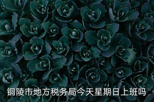 銅陵地稅局在什么地方，銅陵市地方稅務(wù)局今天星期日上班嗎