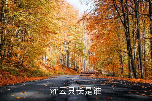灌云國稅局局長叫什么，國家稅務(wù)局局長叫什么