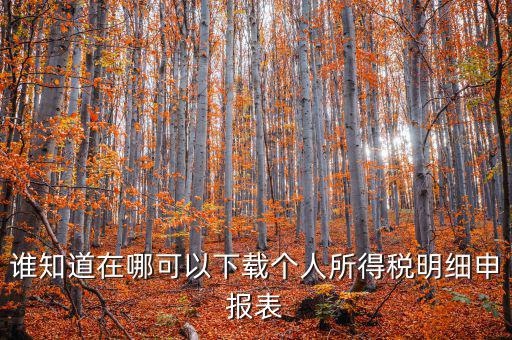 下載什么看申報(bào)稅，誰(shuí)知道在哪可以下載個(gè)人所得稅明細(xì)申報(bào)表