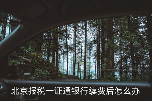 北京稅務一證通是什么，北京 辦理一證通年費什么時候交