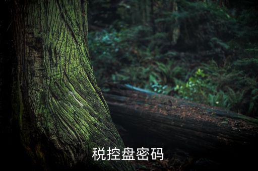 稅控盤證書密碼是什么意思，稅控盤上報(bào)匯總密碼是什么