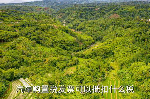 車(chē)輛發(fā)票可以抵扣什么，公司買(mǎi)一臺(tái)車(chē)請(qǐng)問(wèn)買(mǎi)車(chē)的發(fā)票可以作為進(jìn)票抵扣嗎