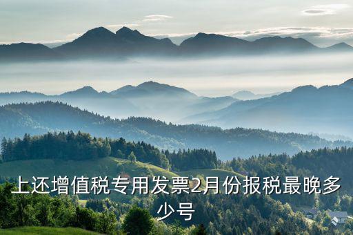 己開具專用票最遲什么時侯報稅，銷售貨物開具了發(fā)票什么時候報稅