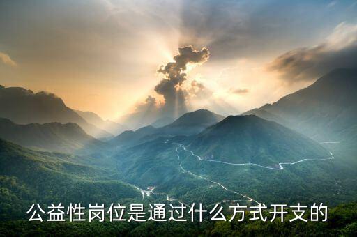 什么是公益性支出，公益性崗位是通過什么方式開支的