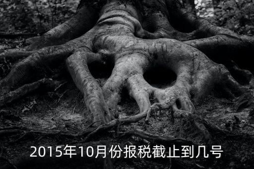 10月份地稅申報(bào)期到什么時(shí)候，今年09年10月份國(guó)稅和地稅的申報(bào)期最后一天是那天