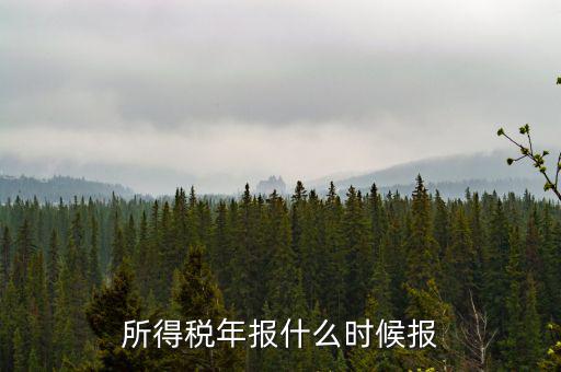 國(guó)稅企業(yè)所得稅年報(bào)什么時(shí)候開始報(bào)，什么時(shí)間報(bào)企業(yè)所得稅年度納稅
