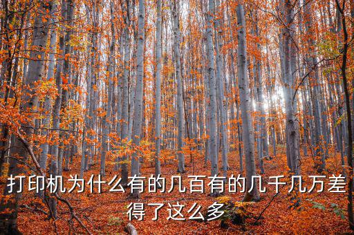 發(fā)票打印機(jī)為什么這么貴，為什么針式打印機(jī)還是那么貴