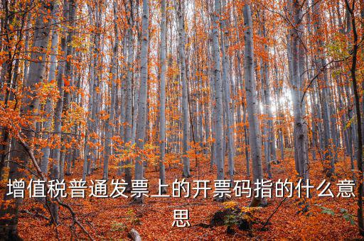 稅控盤開票碼是什么意思，增值稅普通發(fā)票上的開票碼指的什么意思