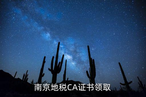 南京地稅CA證書(shū)領(lǐng)取