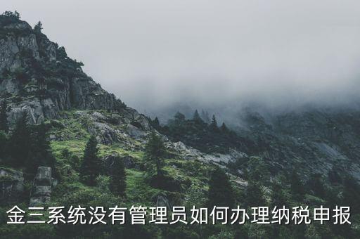 金三申報申報什么意思，申報是什么意思