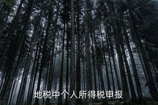 地稅申報個稅是什么意思，為什么地稅要登記個稅呢
