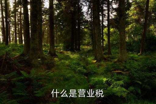 營業(yè)稅是什么行為稅，請問什么是營業(yè)稅