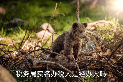 辦稅負(fù)責(zé)人是什么意思，現(xiàn)在實(shí)行的辦稅人員實(shí)名登記其中的財(cái)務(wù)負(fù)責(zé)人辦稅人員發(fā)票經(jīng)辦人