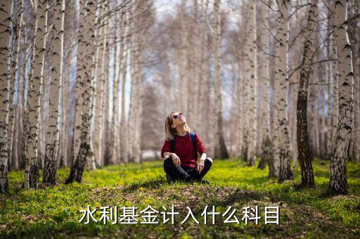 水利基金指什么，水利基金計入什么科目