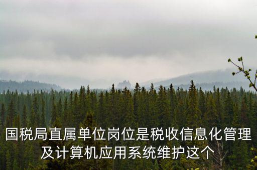 什么是國(guó)稅信息化，信息化在稅務(wù)管理中有什么作用