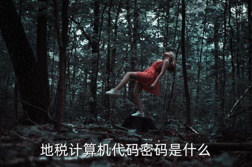 地稅稅務(wù)登陸密碼是什么意思，湖北地稅網(wǎng)絡(luò)發(fā)票登陸密碼是什么急急急
