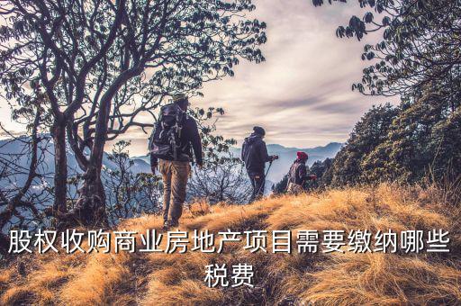 股權收購商業(yè)房地產項目需要繳納哪些稅費