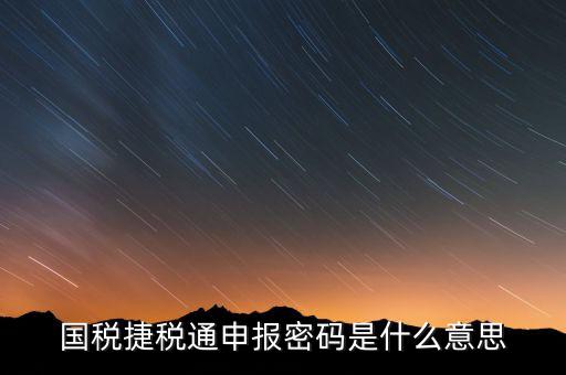 國(guó)稅申報(bào)登陸密碼是什么意思，國(guó)稅第一次網(wǎng)上申報(bào)的登陸密碼是什么