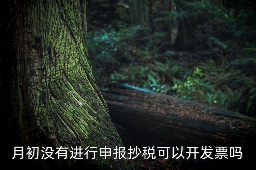 月初沒有進(jìn)行申報抄稅可以開發(fā)票嗎