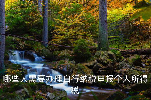 自行申報(bào)納稅是什么，所得稅自行納稅申報(bào)納稅名詞解釋