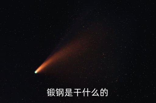 弘遠泰斯是干什么的，飛踏是干什么的