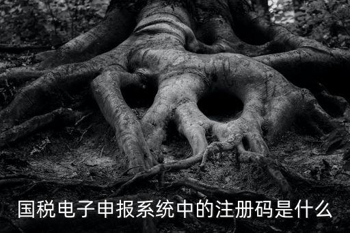 納稅申報(bào)碼是什么碼，什么是納稅申報(bào)號(hào)