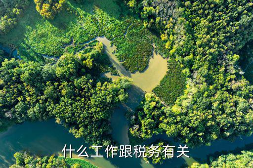 稅務(wù)代理工作是指什么，什么是稅務(wù)代收