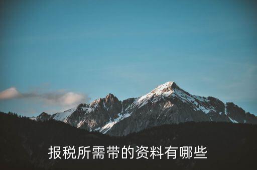 上門報(bào)稅需要帶什么資料，報(bào)稅都要帶啥東西