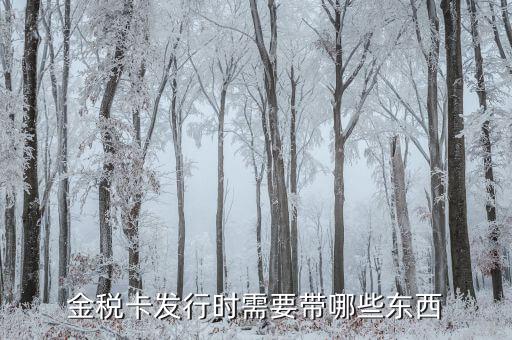 金稅盤發(fā)行帶什么，金稅卡發(fā)行時(shí)需要帶哪些東西