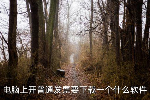 網(wǎng)絡(luò)開票需要下載什么軟件下載，電腦打發(fā)票是不是要下載一個(gè)什么軟件