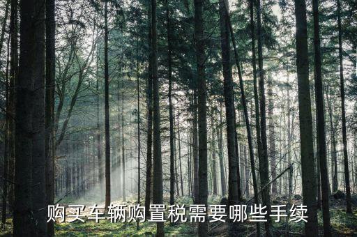 車購(gòu)置稅證明什么手續(xù)，購(gòu)買車輛購(gòu)置稅需要哪些手續(xù)
