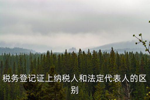 納稅人法定人是什么意思，稅務登記證上納稅人和法定代表人的區(qū)別