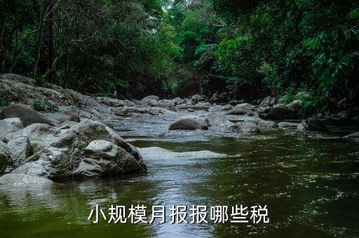 小規(guī)模納稅人季報什么，公司是小規(guī)模納稅人月報和季報時國稅和地稅各需報什么  搜