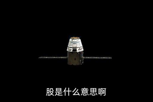人教股什么意思，股是什么意思啊