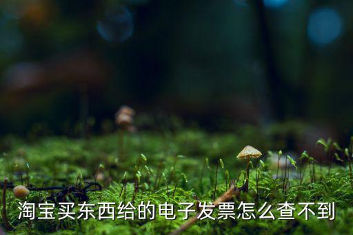 淘寶買(mǎi)東西給的電子發(fā)票怎么查不到