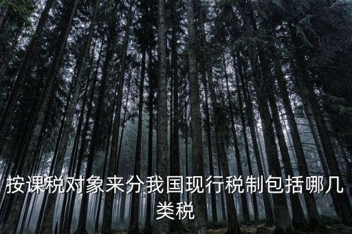 什么是現(xiàn)行稅收制度，說明中國現(xiàn)行稅制增值稅的具體稅制要素有哪些