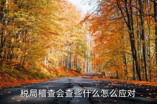 發(fā)票稽查查什么，稅局稽查會(huì)查些什么怎么應(yīng)對