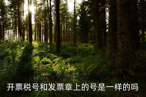 發(fā)票專用章上號碼是什么，發(fā)票專用章的號碼和稅務(wù)登記證號碼一樣么