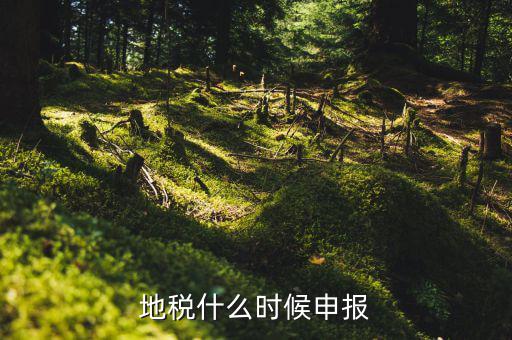 地稅上面基金申報是指什么時候，地稅什么時候申報