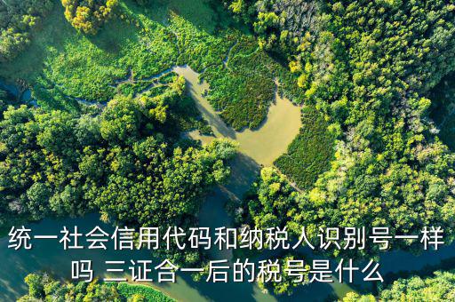 無證合一后稅號是什么意思，五證合一之后怎么查看稅號