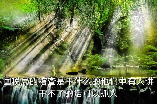 國(guó)稅局稽查局什么工作，國(guó)稅局稽查局工作是干什么