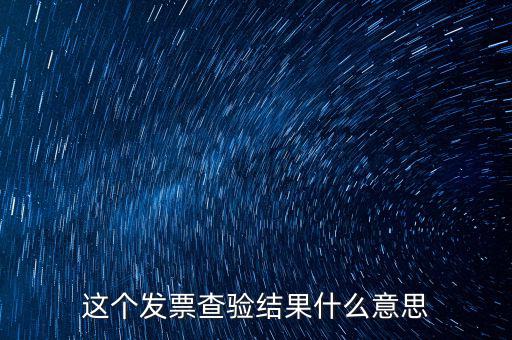 這個發(fā)票查驗結果什么意思
