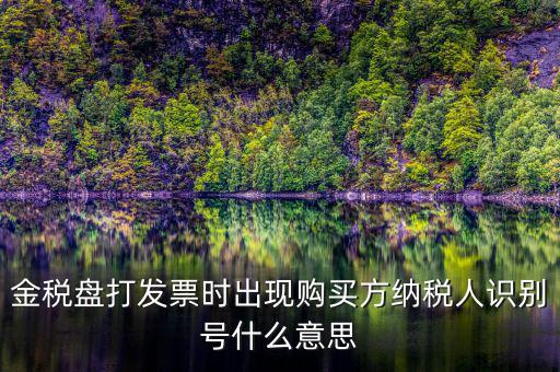 購(gòu)貨方識(shí)別號(hào)是什么，開票方識(shí)別號(hào)是什么意思
