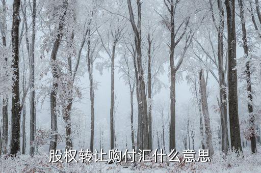 什么是售付匯，股權(quán)轉(zhuǎn)讓購付匯什么意思