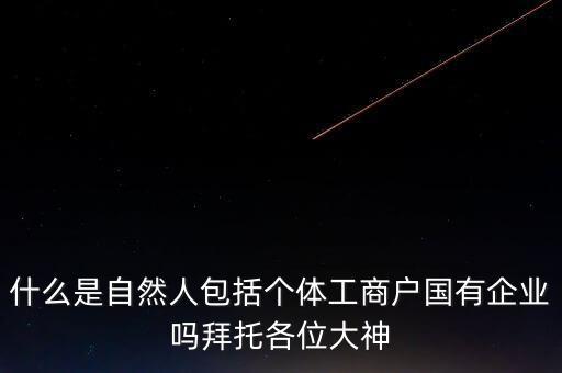 稅務上的自然人指的是什么，申請人為自然人的是什么意思