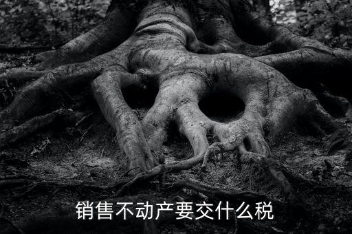 出售不動(dòng)產(chǎn) 交什么稅，銷售不動(dòng)產(chǎn)要交什么稅